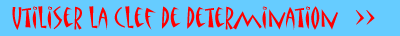 Clef de détermination